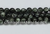 CSH01 15.5 inches 6mm round natural seraphinite gemstone beads