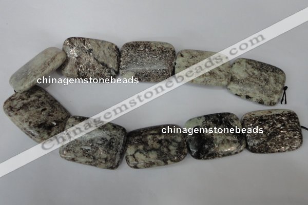 CSI50 15.5 inches 30*40mm rectangle silver scale stone beads wholesale
