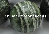 CSJ12 15.5 inches 30mm round green silver line jasper beads wholesale