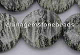 CSJ123 15.5 inches 30mm faceted coin green silver line jasper beads