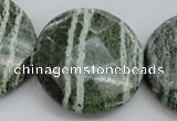 CSJ125 15.5 inches 40mm faceted coin green silver line jasper beads