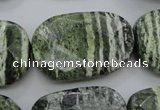 CSJ127 15.5 inches 20*30mm faceted freeform green silver line jasper beads