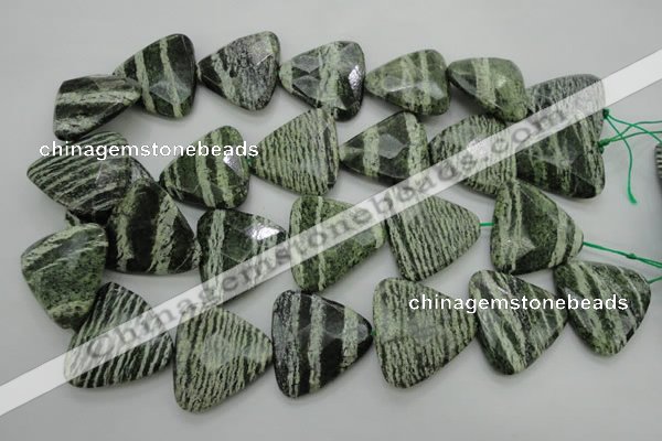 CSJ130 15.5 inches 30*30mm faceted triangle green silver line jasper beads