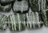 CSJ29 15.5 inches 20*20mm square green silver line jasper beads