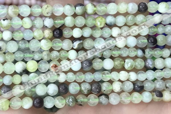 CSJ300 15.5 inches 4mm round serpentine new jade beads wholesale