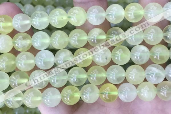 CSJ322 15.5 inches 12mm round serpentine new jade beads