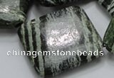 CSJ34 15.5 inches 40*40mm diamond green silver line jasper beads