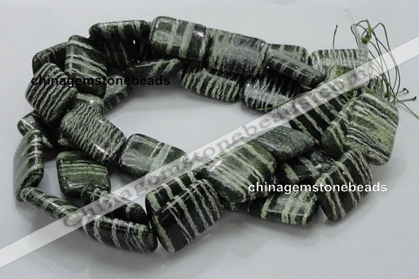 CSJ39 15.5 inches 22*30mm rectangle green silver line jasper beads