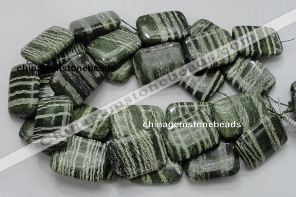 CSJ40 15.5 inches 30*40mm rectangle green silver line jasper beads