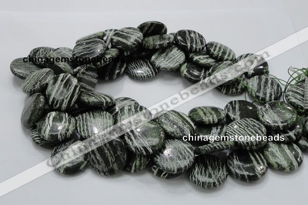 CSJ45 15.5 inches 25mm flat round green silver line jasper beads