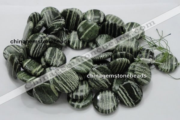 CSJ46 15.5 inches 30mm flat round green silver line jasper beads