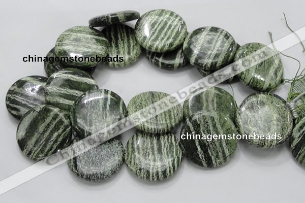 CSJ48 15.5 inches 40mm flat round green silver line jasper beads