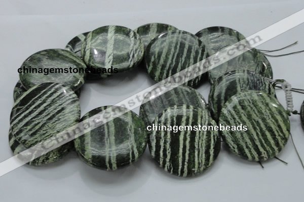 CSJ49 15.5 inches 50mm flat round green silver line jasper beads