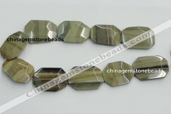 CSL08 15.5 inches 30*40mm octagonal silver leaf jasper beads wholesale