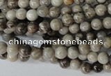 CSL10 15.5 inches 4mm round silver leaf jasper beads wholesale