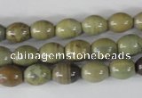 CSL103 15.5 inches 8*10mm rice silver leaf jasper beads wholesale