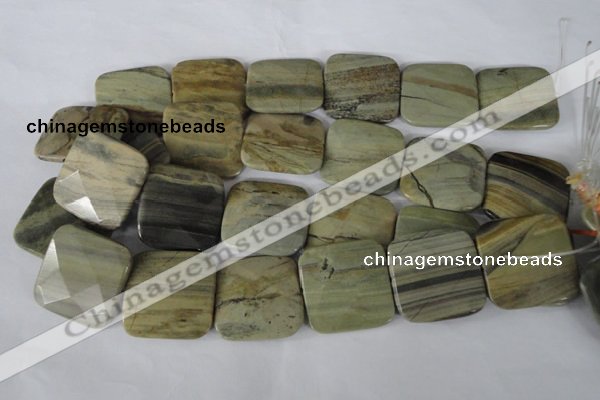 CSL122 15.5 inches 30*30mm faceted square silver leaf jasper beads