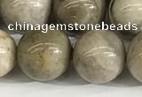 CSL154 15.5 inches 12mm round 

sliver leaf jasper beads wholesale