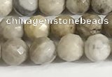 CSL157 15.5 inches 6mm faceted 

round sliver leaf jasper beads