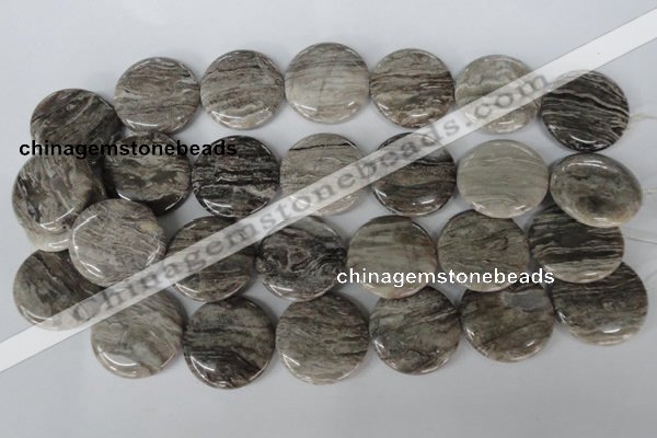 CSL35 15.5 inches 30mm flat round silver leaf jasper beads wholesale