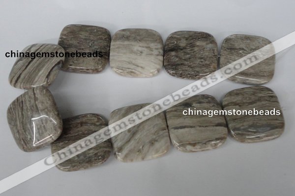 CSL59 15.5 inches 40*40mm square silver leaf jasper beads wholesale