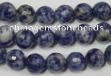 CSO303 15.5 inches 10mm faceted round Brazilian sodalite beads