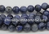 CSO41 15.5 inches 8mm round sodalite gemstone beads wholesale