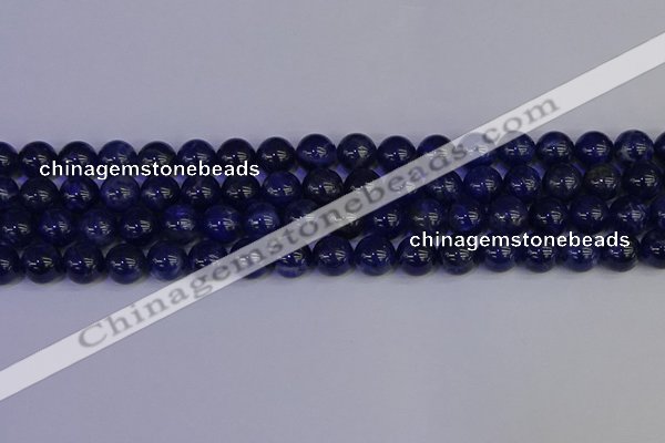 CSO503 15.5 inches 10mm round sodalite gemstone beads wholesale