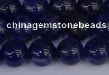 CSO504 15.5 inches 12mm round sodalite gemstone beads wholesale