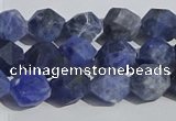 CSO566 15.5 inches 8mm faceted nuggets matte sodalite beads