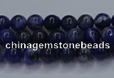 CSO610 15.5 inches 4mm round sodalite gemstone beads wholesale