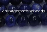 CSO613 15.5 inches 10mm round sodalite gemstone beads wholesale