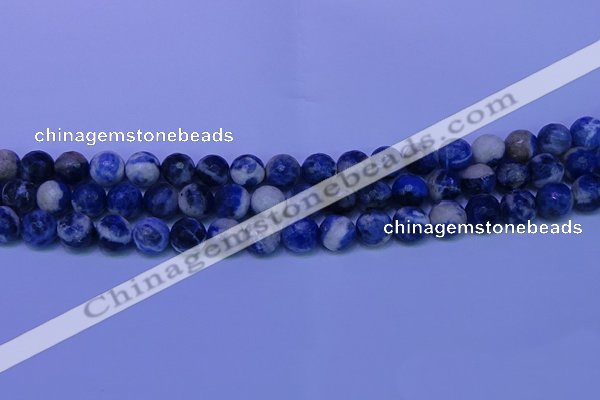 CSO623 15.5 inches 10mm faceted round AB grade sodalite beads