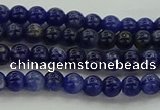 CSO631 15.5 inches 4mm round sodalite gemstone beads wholesale