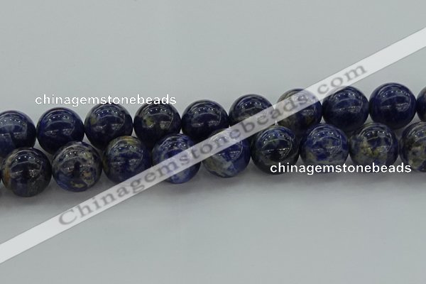 CSO639 15.5 inches 20mm round sodalite gemstone beads wholesale