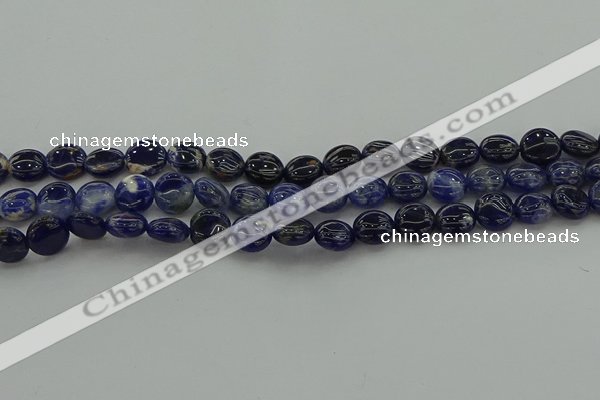 CSO670 15.5 inches 10mm flat round sodalite gemstone beads