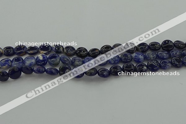 CSO670 15.5 inches 10mm flat round sodalite gemstone beads