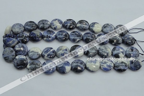 CSO81 15.5 inches 20mm flat round sodalite gemstone beads wholesale