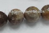 CSS101 15.5 inches 18mm faceted round natural sunstone beads wholesale