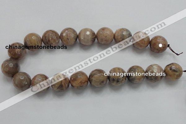 CSS102 15.5 inches 20mm faceted round natural sunstone beads wholesale