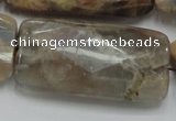 CSS117 15.5 inches 25*50mm faceted rectangle natural sunstone beads