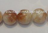 CSS20 15.5 inches 16mm round natural sunstone beads wholesale