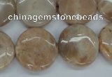 CSS239 15.5 inches 20mm flat round natural sunstone beads