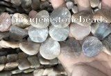 CSS440 15.5 inches 25mm twisted coin sunstone beads wholesale
