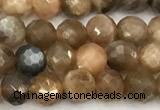 CSS830 15 inches 6mm faceted round sunstone beads