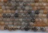 CSS846 15 inches 3mm faceted round sunstone beads