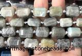 CTB1107 15 inches 12*16mm faceted tube labradorite gemstone beads