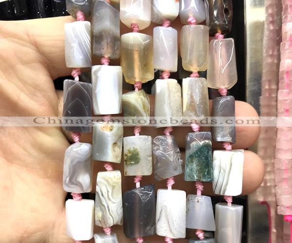 CTB1203 15 inches 8*12mm - 8*14mm faceted tube Botswana agate beads