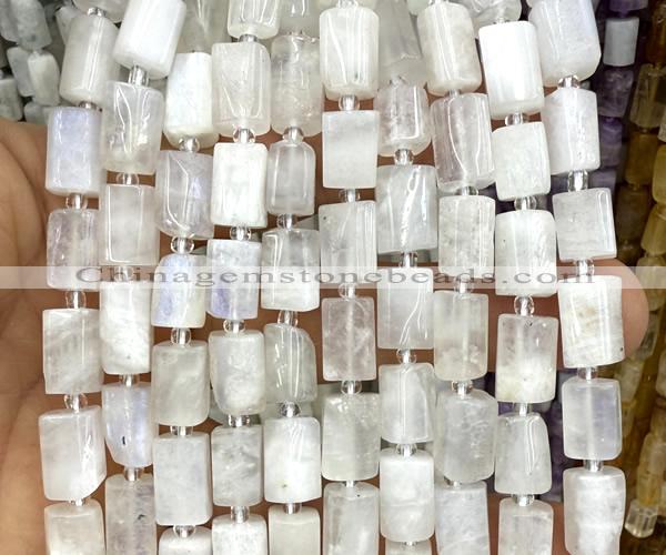 CTB1271 15 inches 6*10mm - 8*12mm faceted tube white moonstone beads