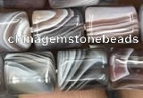 CTB607 15.5 inches 8*10mm tube Botswana agate gemstone beads